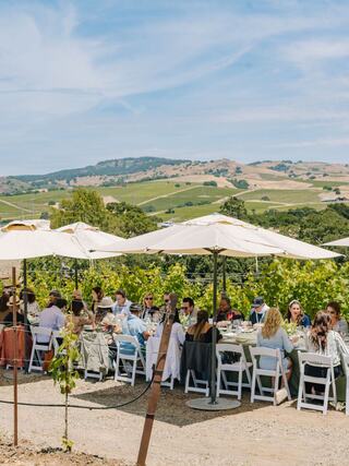 A large group of people enjoys a long table lunch under umbrellas, surrounded by lush vineyards and rolling hills under a clear sky.