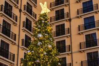 A beautifully lit Christmas tree adorned with gold and silver ornaments and topped with a star shines against a backdrop of buildings.