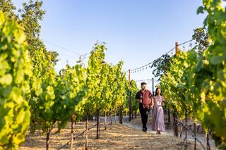 A couple strolls through a lush vineyard, surrounded by vibrant grapevines, under a clear sky with twinkling lights strung above.