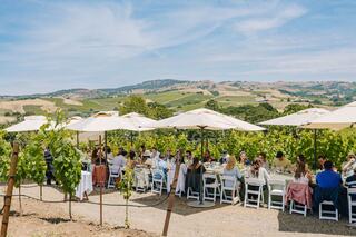 A beautiful outdoor gathering set among vineyard rows, featuring guests dining under umbrellas with rolling hills in the background.
