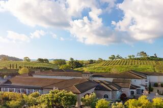 A scenic view of a vineyard estate, featuring lush green fields, a charming building, and a bright blue sky with fluffy clouds.