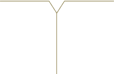 A minimalist design featuring a vertical shape with two diagonal lines converging at the top, suggesting simplicity and elegance.