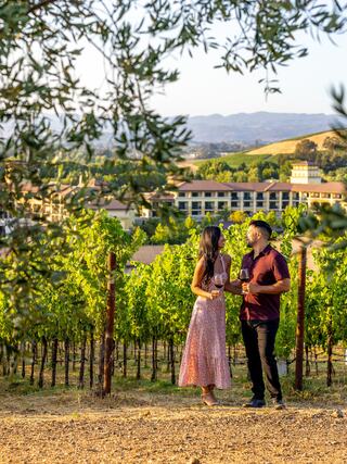 A couple enjoying drinks in a vineyard, surrounded by lush green vines and scenic hills under a clear sky.