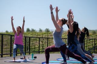 A group of women practices yoga outdoors, stretching and posing on mats, with green vineyards in the background under a clear blue sky.