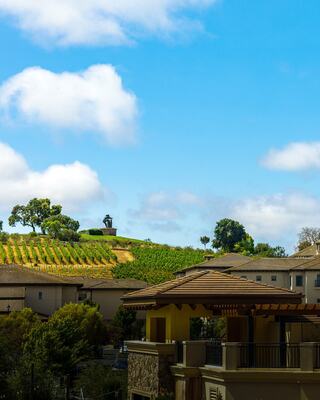 A picturesque landscape features rolling vineyards atop a hill, with a clear blue sky and charming homes in the foreground.