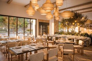 A stylish restaurant features warm lighting, natural decor, and elegant wooden furniture, creating a cozy and inviting atmosphere.