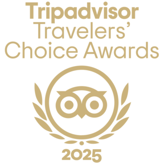 Tripadvisor Travelers' Choice Awards logo for 2025, featuring an owl within a laurel wreath design.