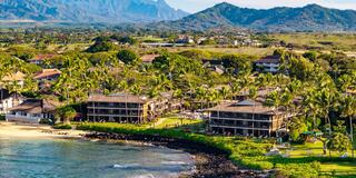Coastal resort with palm trees, lush greenery, and mountain views, offering a serene tropical atmosphere by the water's edge.